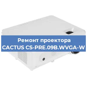 Замена проектора CACTUS CS-PRE.09B.WVGA-W в Ростове-на-Дону